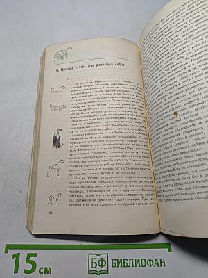Человек находит друга