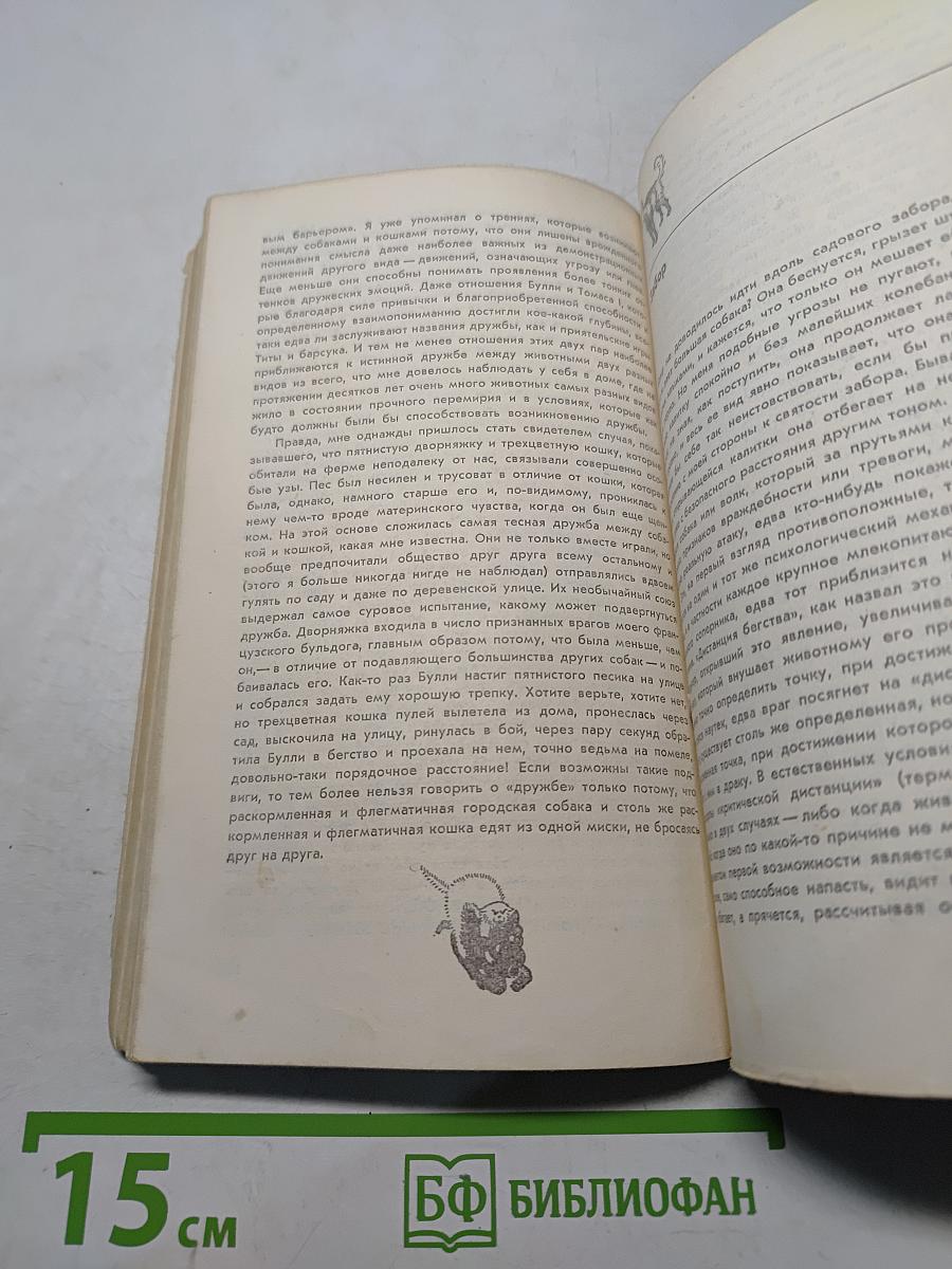 Человек находит друга