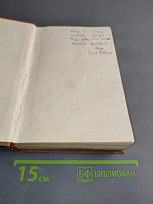 Поджигатели. Роман. Книга первая
