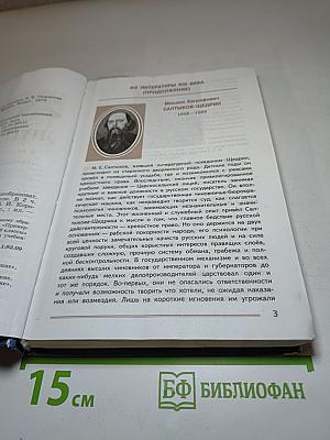 Литература, 8 класс, Часть 2