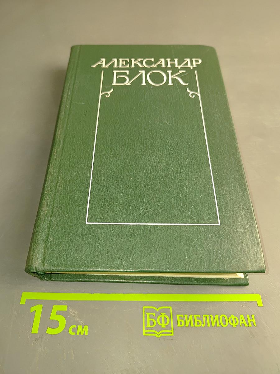 Стихотворения и поэмы 1898-1906. Том 1
