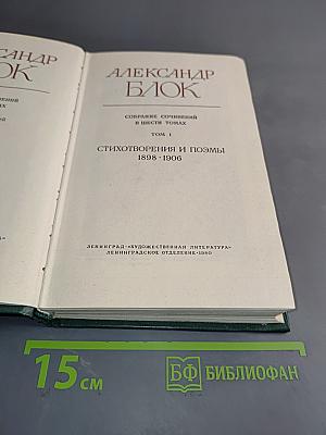 Стихотворения и поэмы 1898-1906. Том 1