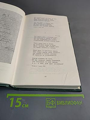 Стихотворения и поэмы 1898-1906. Том 1