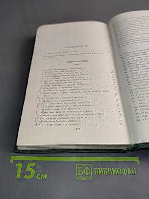 Стихотворения и поэмы 1898-1906. Том 1