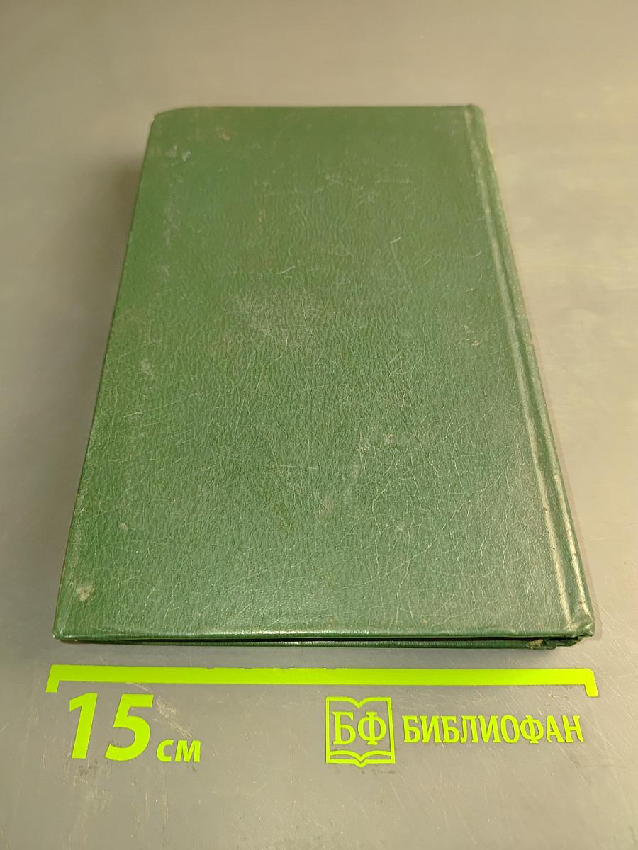 Стихотворения и поэмы 1898-1906. Том 1