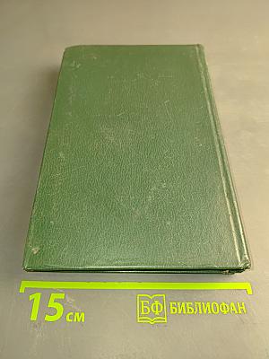 Стихотворения и поэмы 1898-1906. Том 1