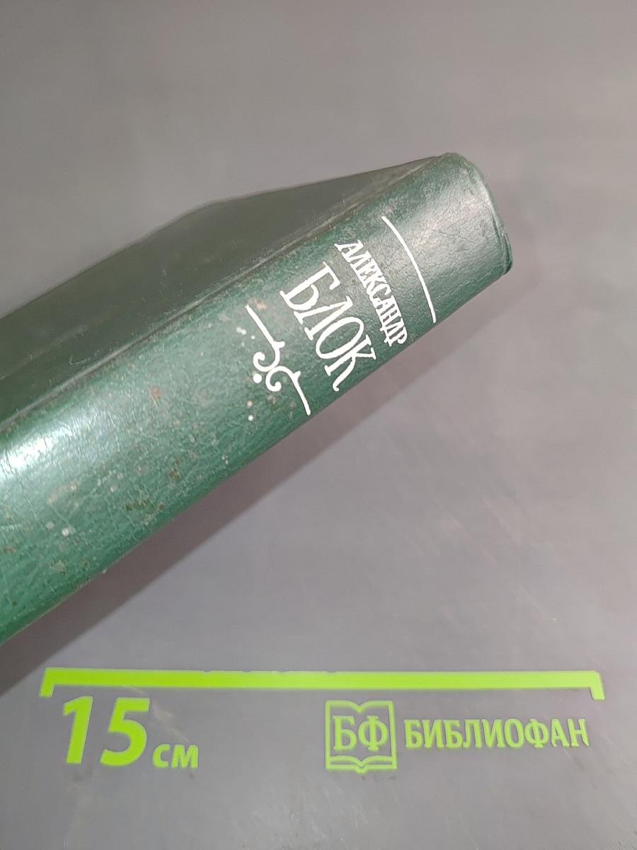 Стихотворения и поэмы 1898-1906. Том 1