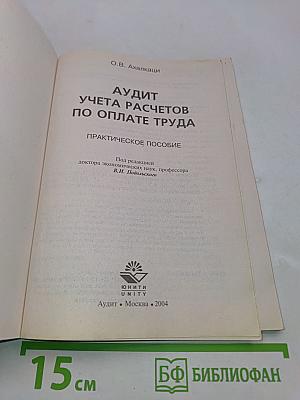 Аудит учета расчетов по оплате труда: Практическое пособие