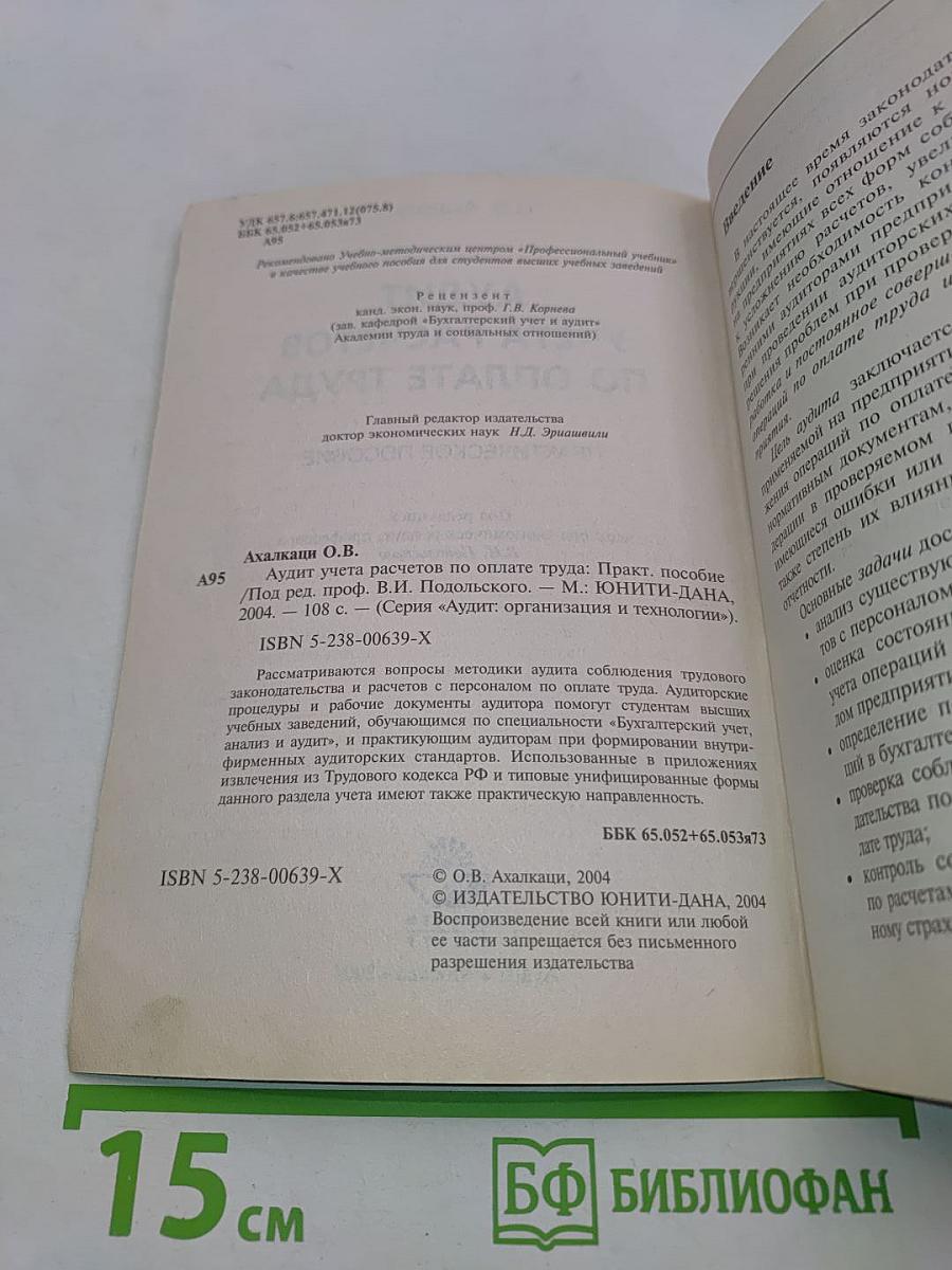 Аудит учета расчетов по оплате труда: Практическое пособие