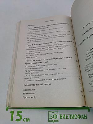 Аудит учета расчетов по оплате труда: Практическое пособие