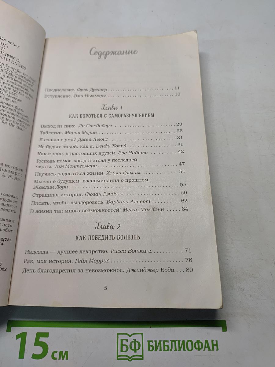 Куриный бульон для души. 101 вдохновляющая история о сильных людях и удивительных судьбах