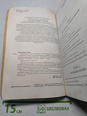 Куриный бульон для души. 101 вдохновляющая история о сильных людях и удивительных судьбах