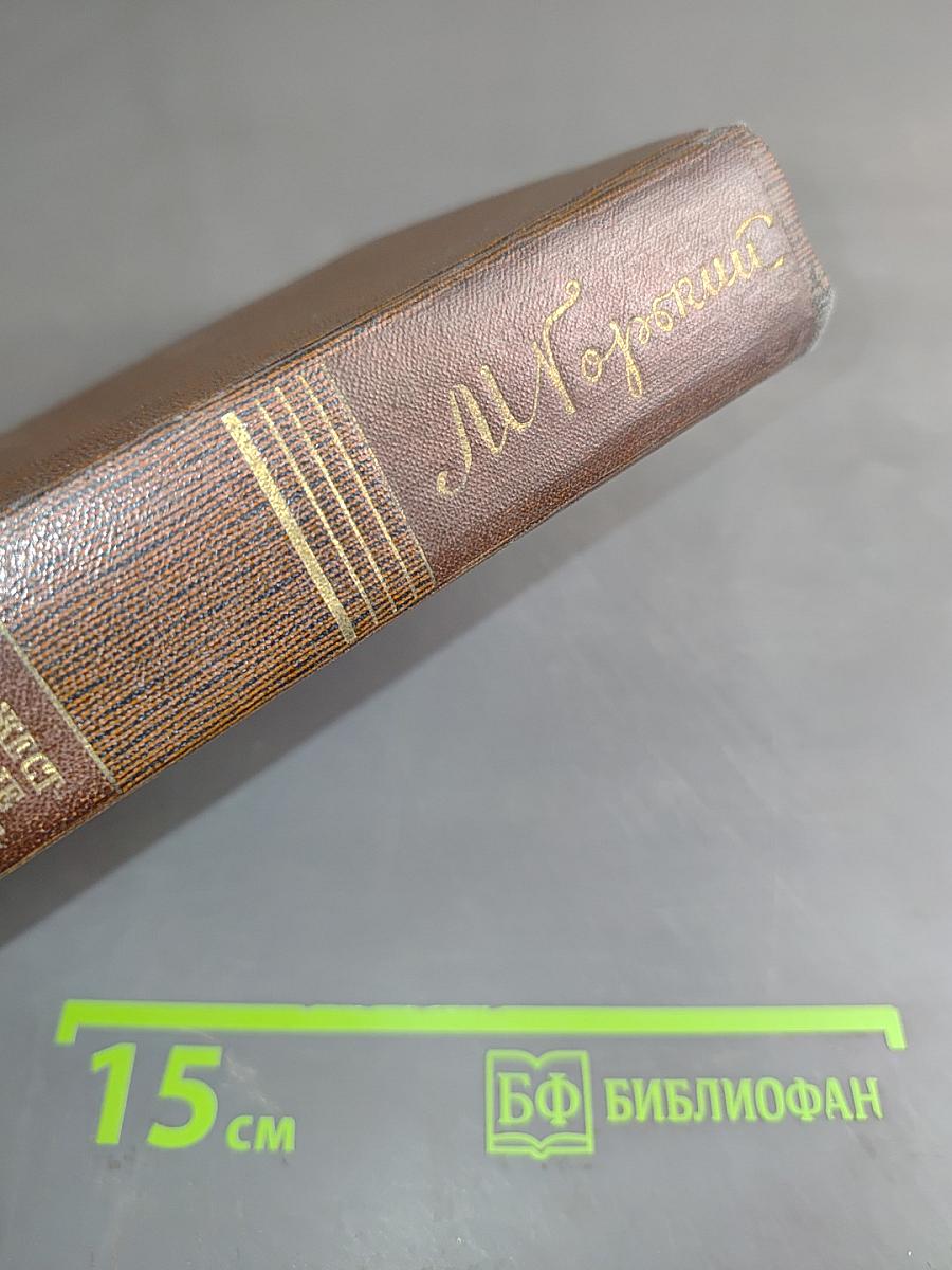 Собрание сочинений. Том второй. Рассказы, очерки, наброски, стихи 1894-1896