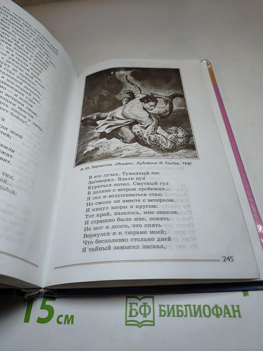 Литература 8 класс. Часть 1