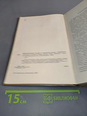 Вычислительная техника и обработка данных. Терминологический толковый словарь фирмы IBM