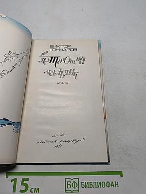 Летающий мальчик