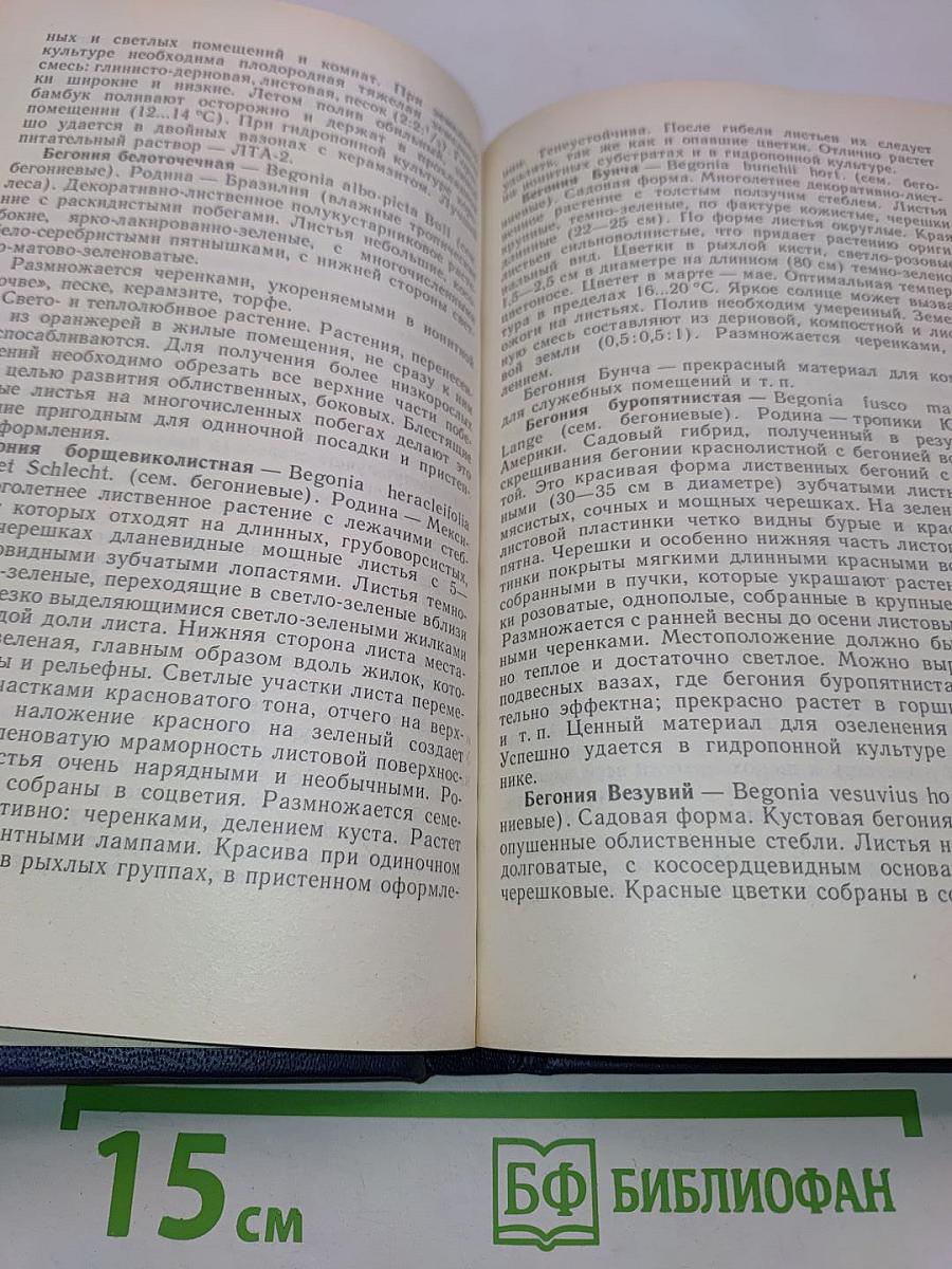 Цветы в комнате и на балконе