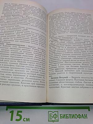Цветы в комнате и на балконе