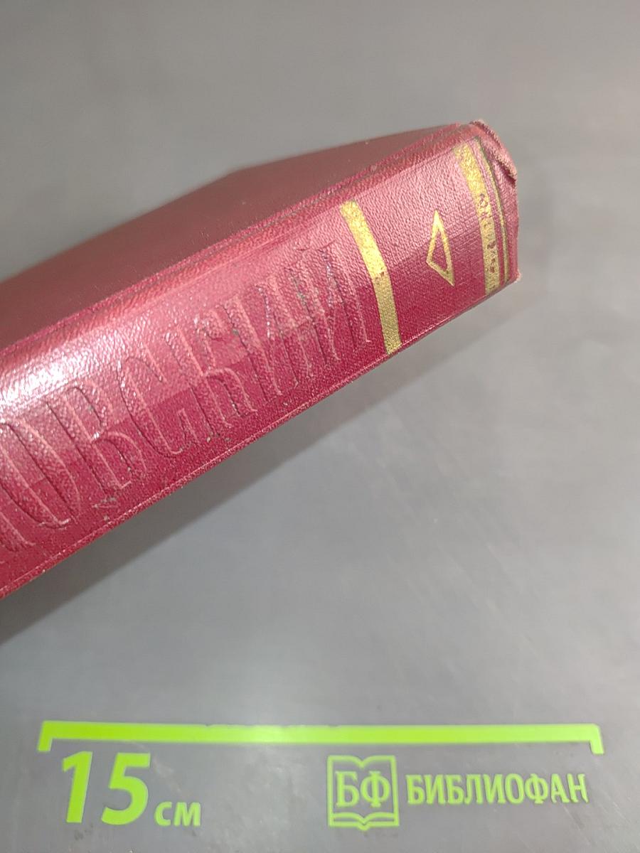 Полное собрание сочинений. Том шестой. 1924-первая половина 1925