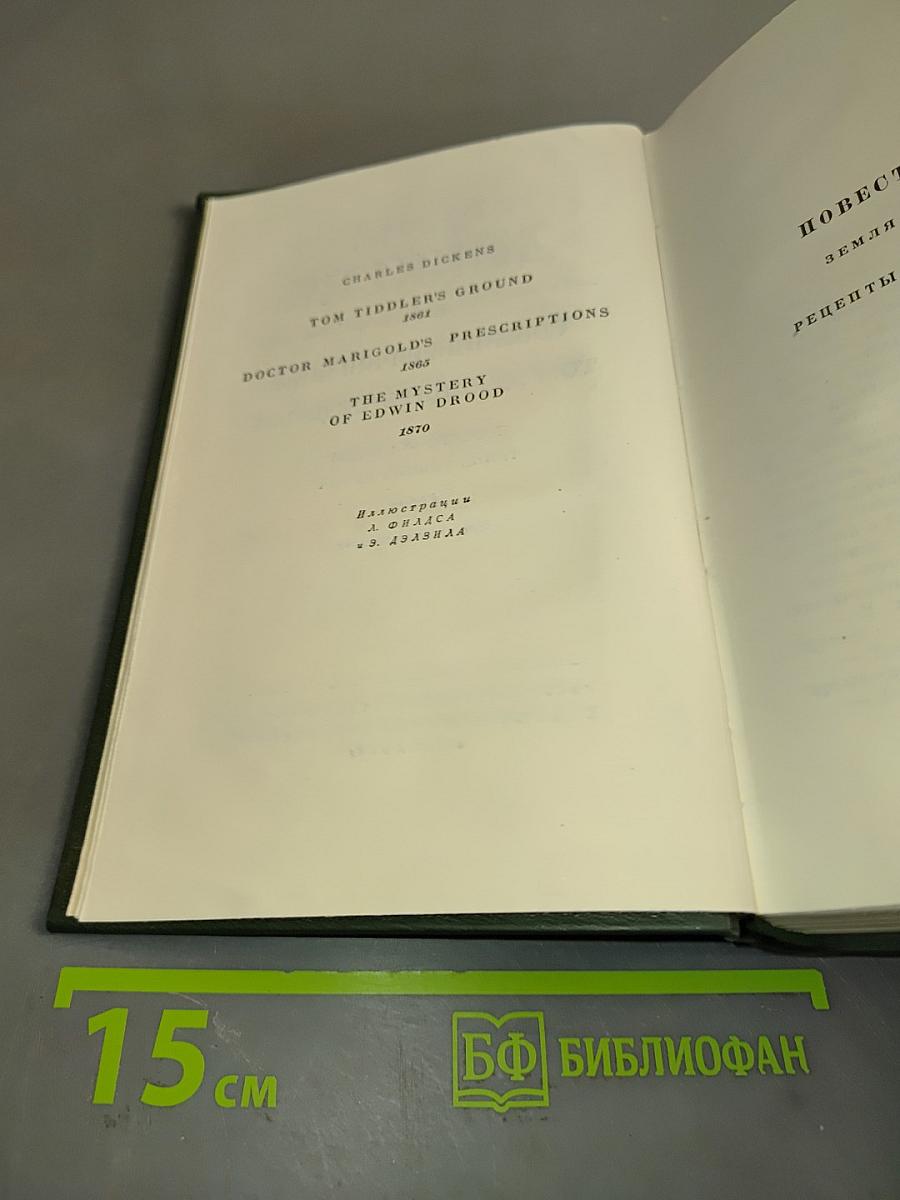 Собрание сочинений. Том двадцать седьмой. Повести 60-х годов. Тайна Эдвина Друда