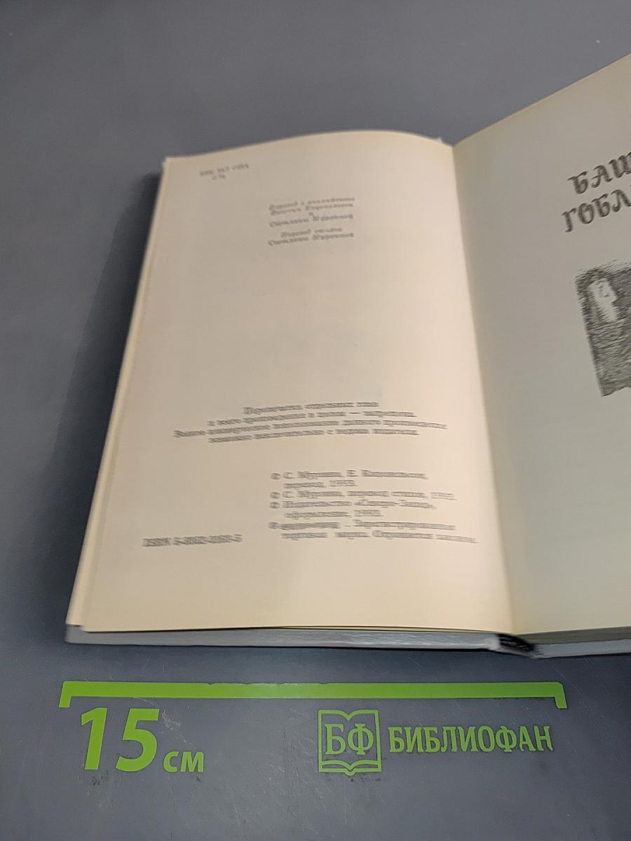 Башня гоблинов (Король поневоле)