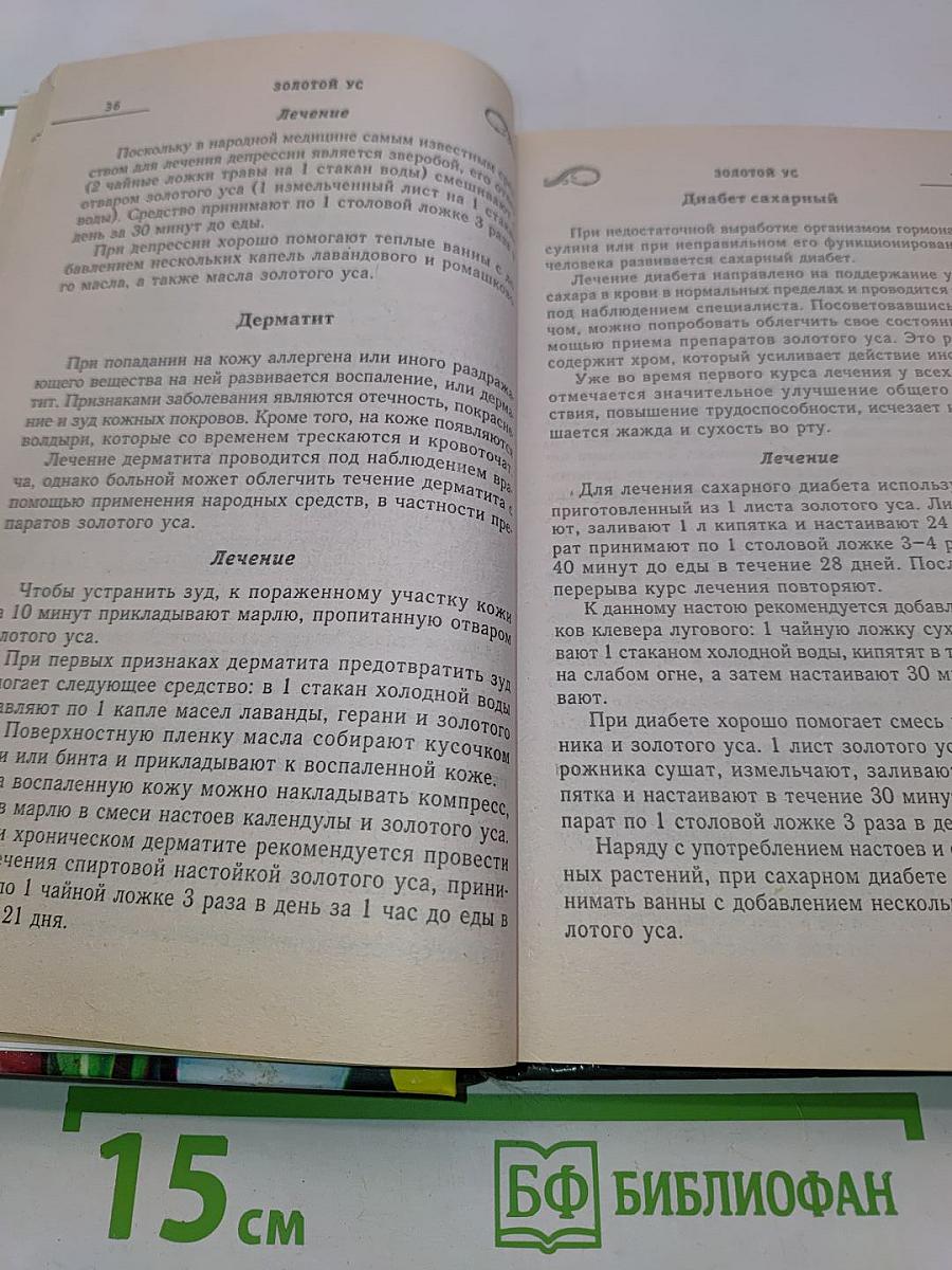 Индийский лук, золотой ус и другие чудо-целители семьи