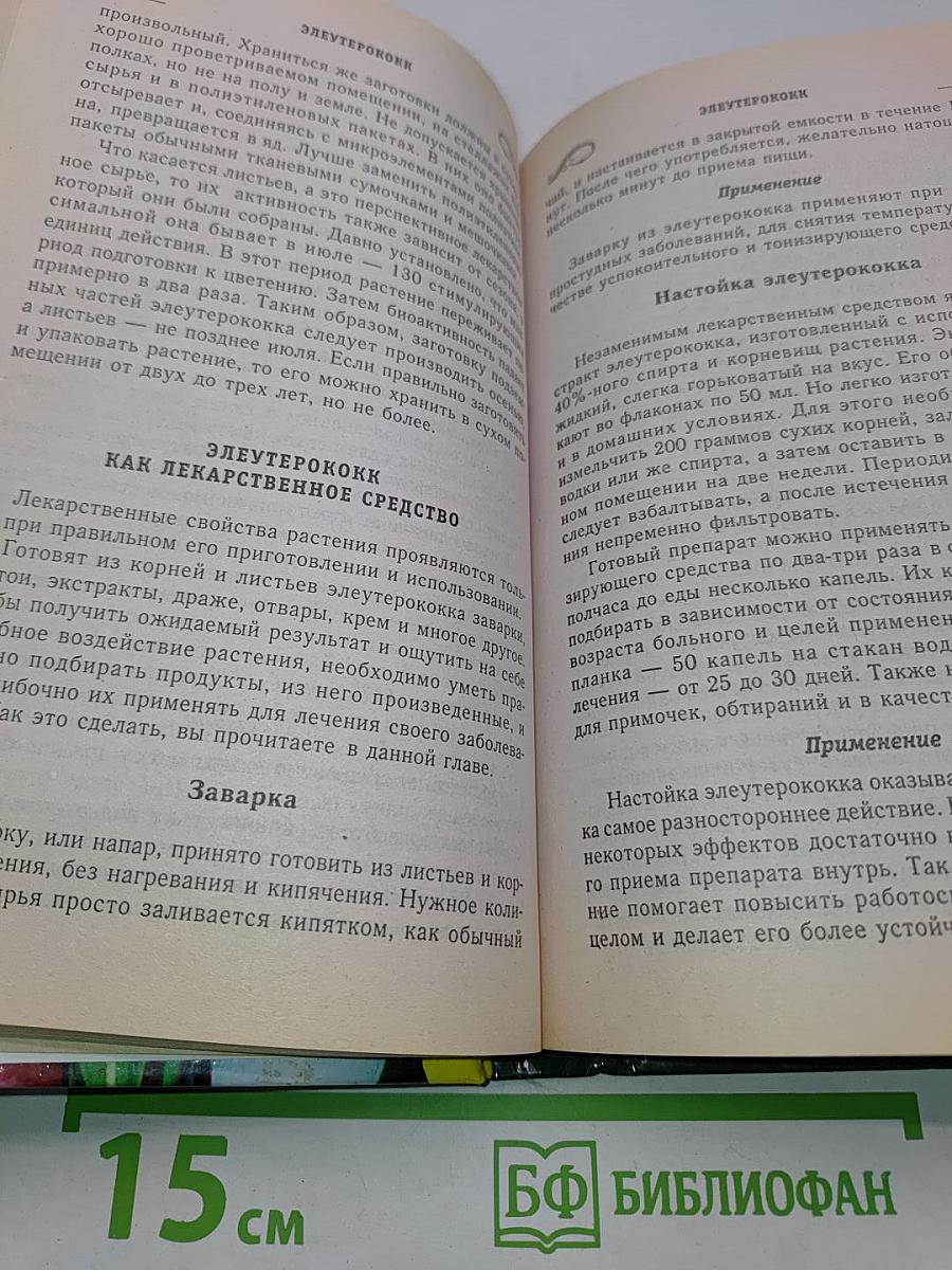 Индийский лук, золотой ус и другие чудо-целители семьи