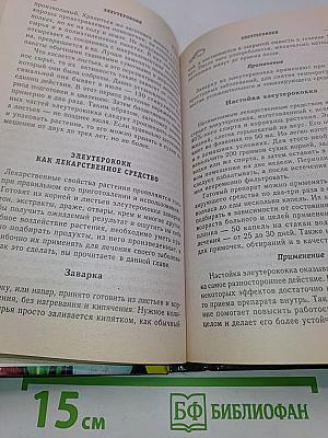 Индийский лук, золотой ус и другие чудо-целители семьи