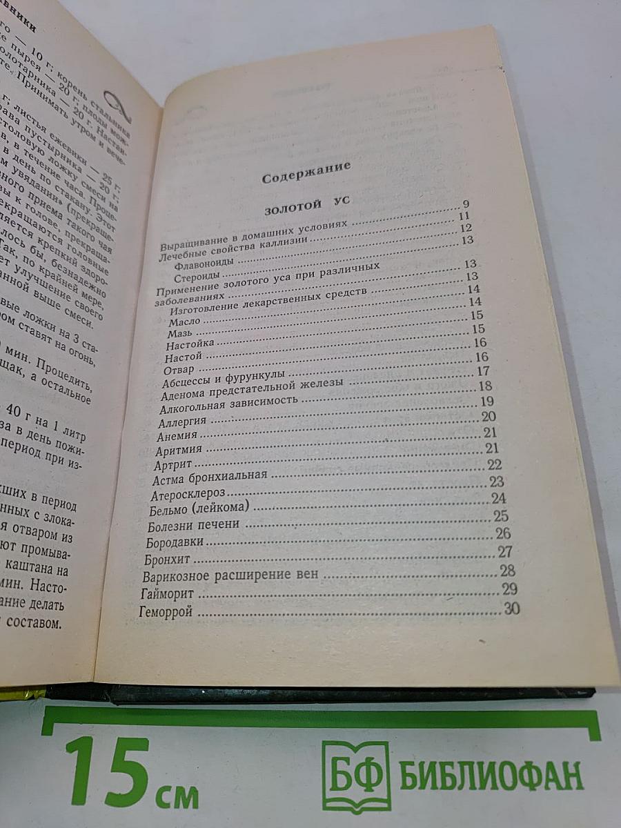 Индийский лук, золотой ус и другие чудо-целители семьи