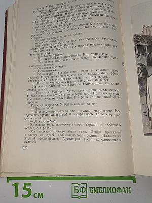 Заговорщики. Книга вторая. Перед расплатой