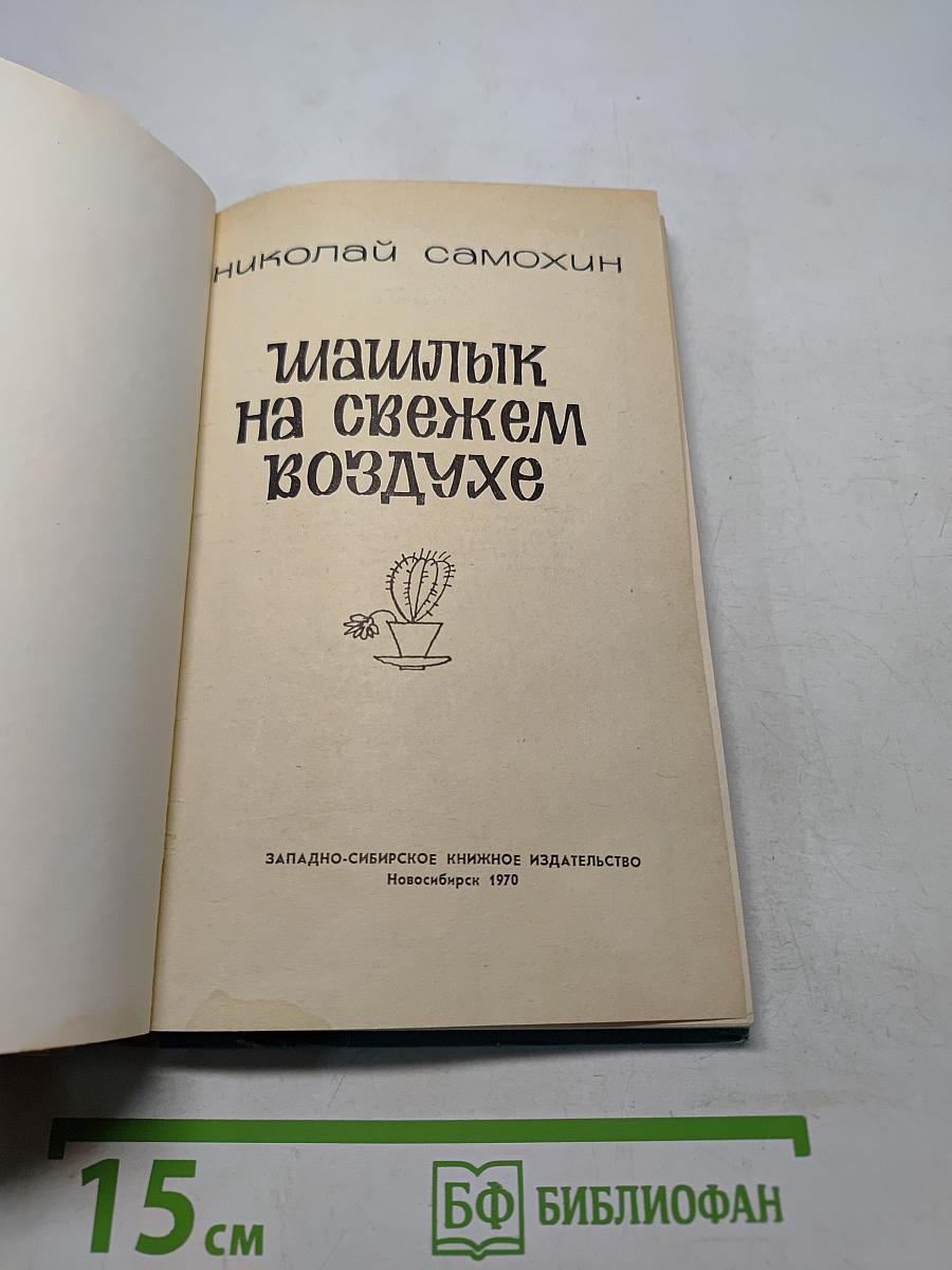 Шашлык на свежем воздухе