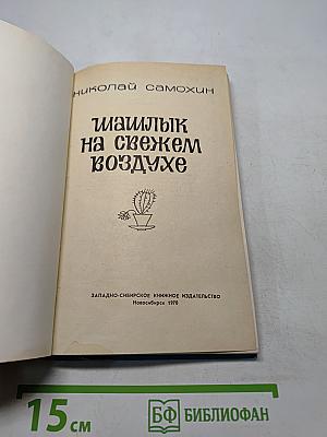 Шашлык на свежем воздухе
