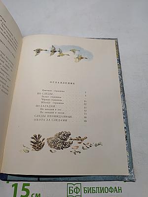 В лес по загадки