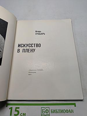 Искусство в плену
