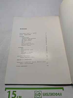 Искусство в плену