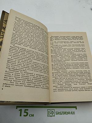 Суворов. Исторический роман