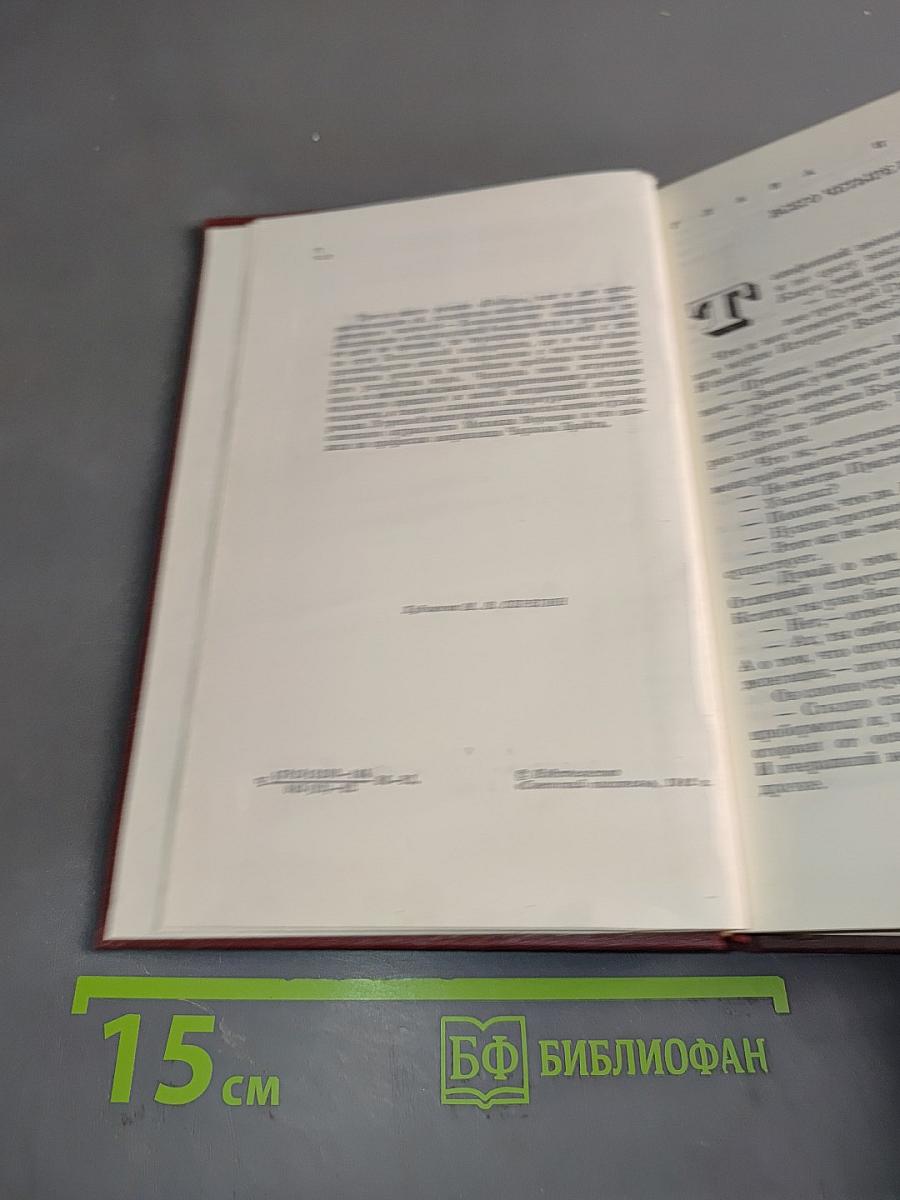Победа. Книга третья