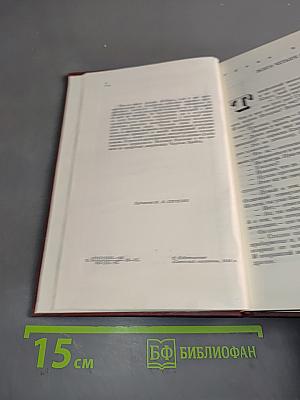Победа. Книга третья