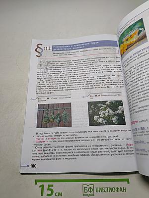 Технология. 6 класс
