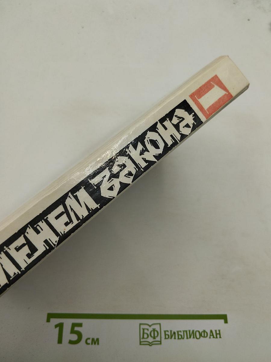 Именем закона. Современный детектив 1