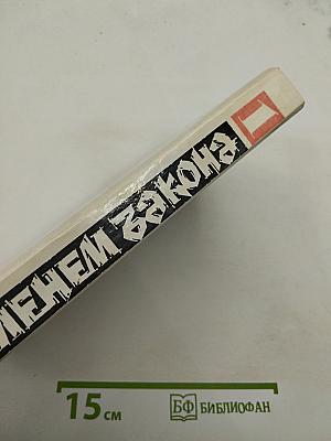 Именем закона. Современный детектив 1