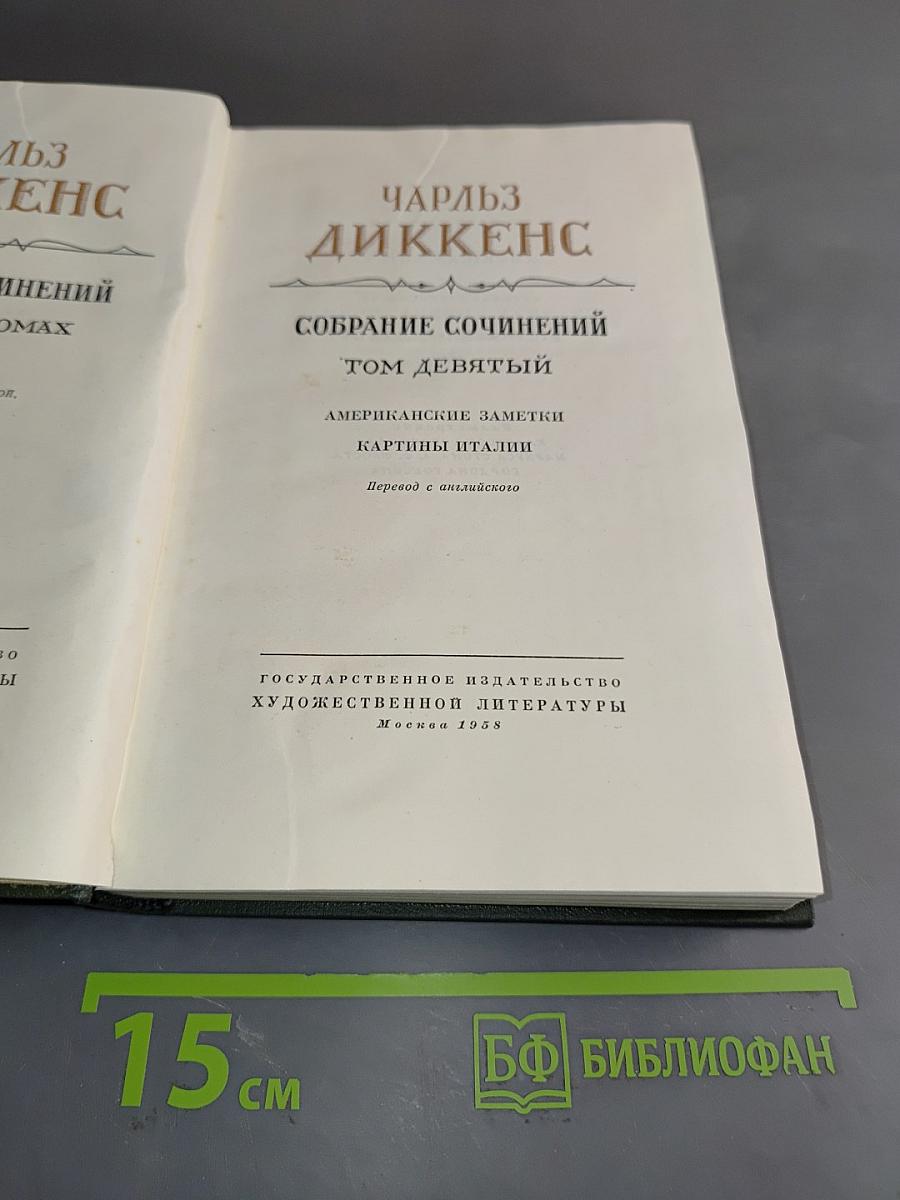 Собрание сочинений. Том девятый. Американские заметки. Картины Италии