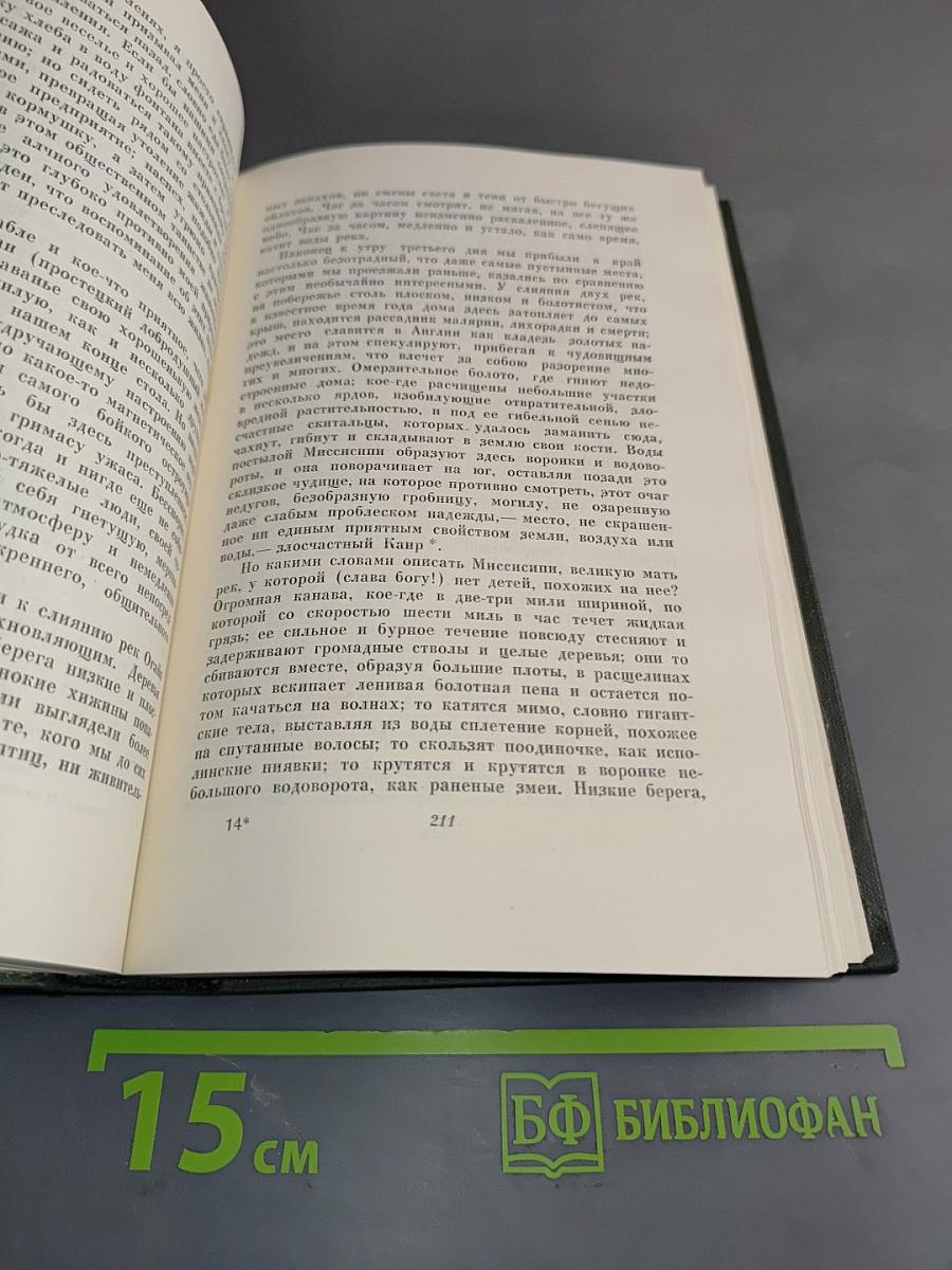 Собрание сочинений. Том девятый. Американские заметки. Картины Италии