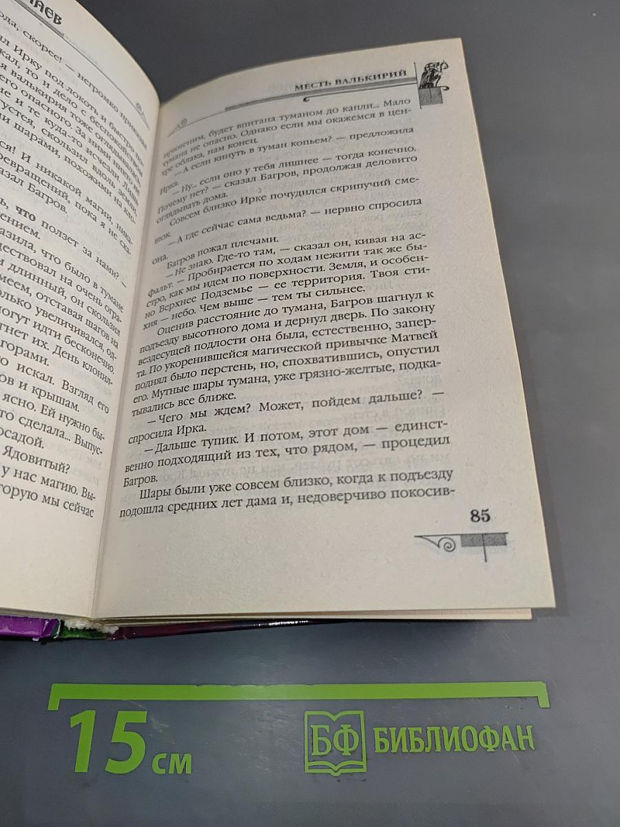 Мефодий Буслаев. Месть Валькирий