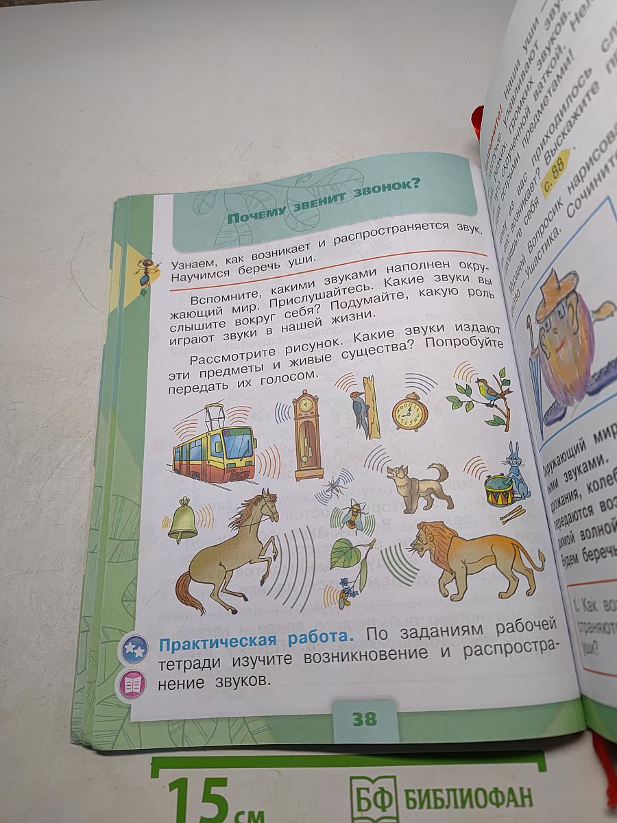 Окружающий мир. 1 класс. Часть 2