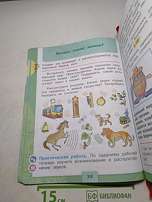 Окружающий мир. 1 класс. Часть 2