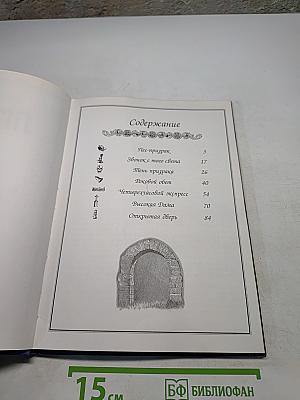 Тень призрака