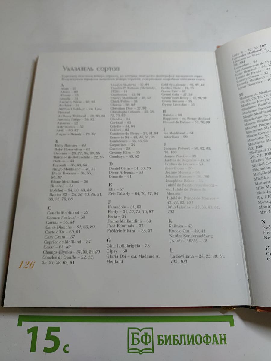 Французские розы селекции Meillan