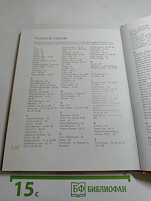 Французские розы селекции Meillan