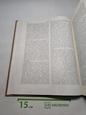 Краткая литературная энциклопедия. Том 8. Флюгер - Ящур